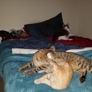 Meet your Posher, Shawn